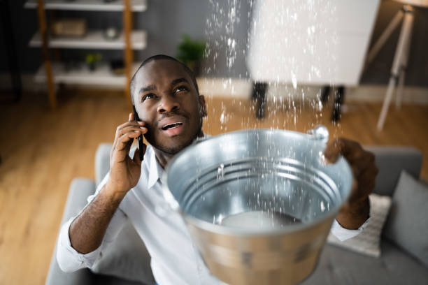 Best Mold removal after water damage  in Mount Vernon, IL