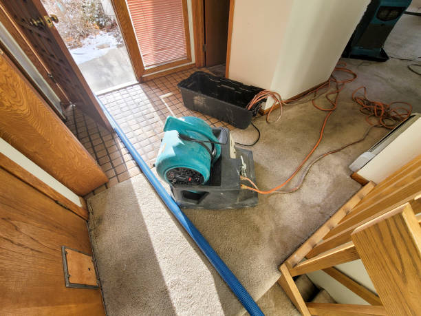 Best Water damage restoration near me  in Mount Vernon, IL