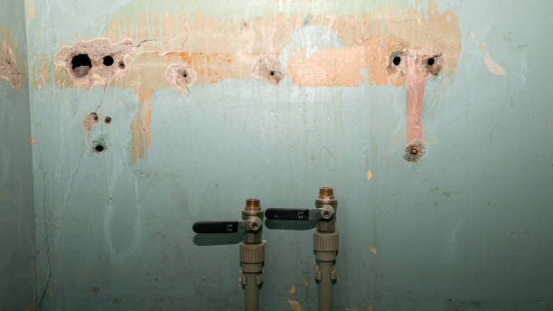 Best Flooded house restoration  in Mount Vernon, IL