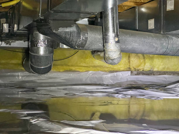 Best Flood damage cleanup  in Mount Vernon, IL