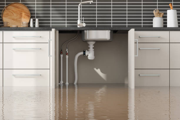 Best Commercial water damage restoration  in Mount Vernon, IL