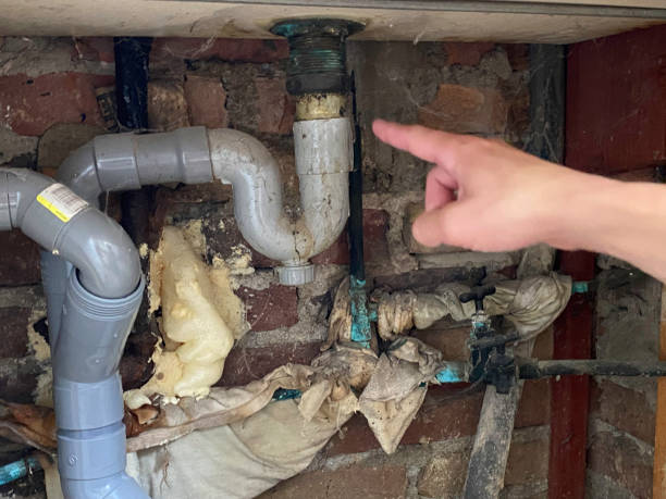 Best Professional water damage repair  in Mount Vernon, IL